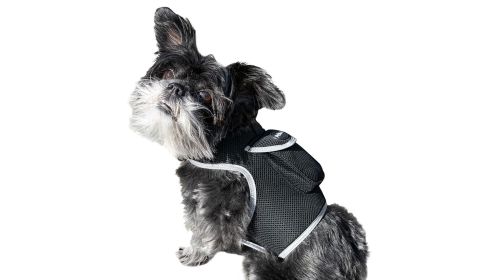 Portable GPS Tracking Device for Dogs Waterproof Collar Mount Tracker Size:M