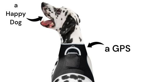 Collar Mount Dog Cat Locator Mini Portable GSM GPS Pet Tracking Device Size:S
