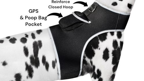 Affordable Realtime Rechargeable Dog Collar GPS Tracking Device Water Resistant Size:S